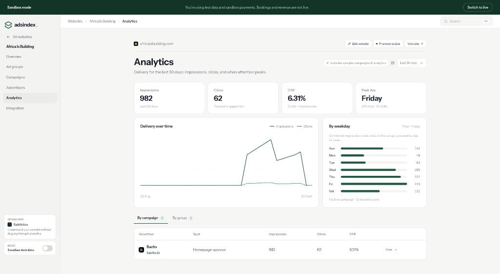 AdsRoster site analytics with delivery charts and campaign performance table